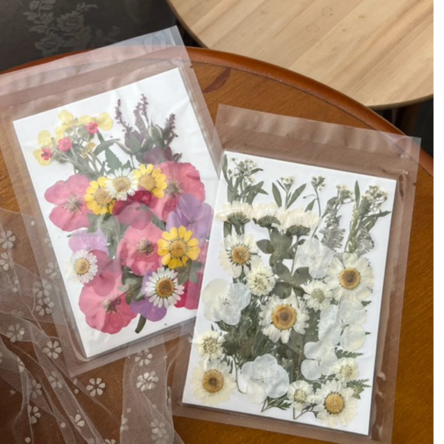 Mix Pressed flowers Pack